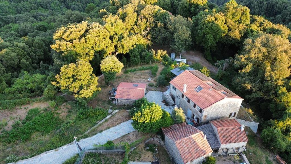 Chez Paulette - Meuble De Tourisme Classe 3 Etoiles Zonza Eksteriør bilde