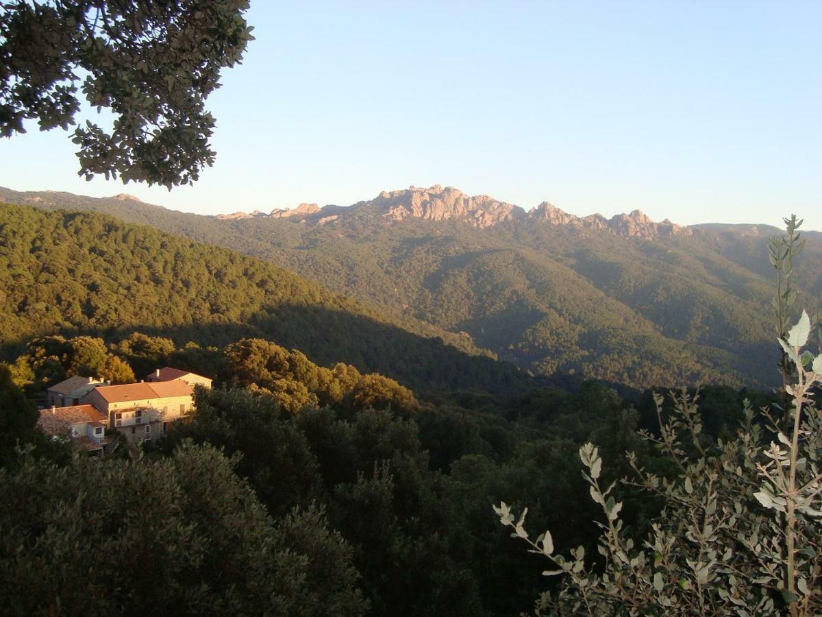 Chez Paulette - Meuble De Tourisme Classe 3 Etoiles Zonza Eksteriør bilde